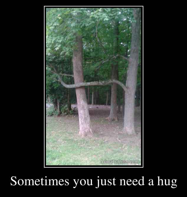 Sometimes you just need a hug