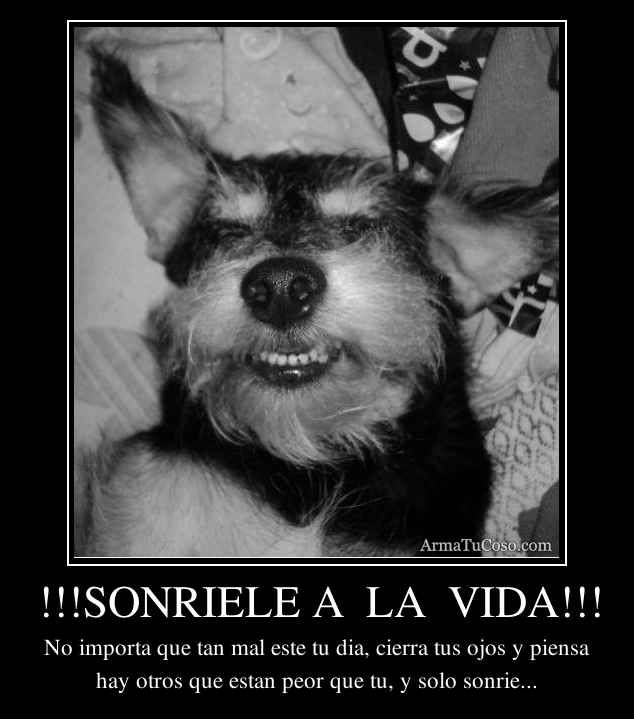 !!!SONRIELE A  LA  VIDA!!!