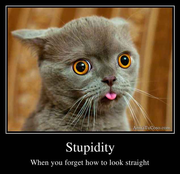 Stupidity