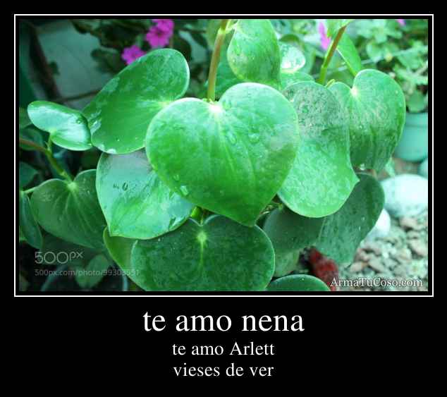 te amo nena