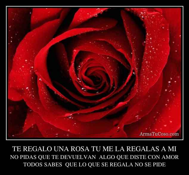 TE REGALO UNA ROSA TU ME LA REGALAS A MI