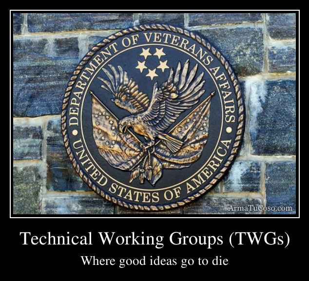 Technical Working Groups (TWGs)