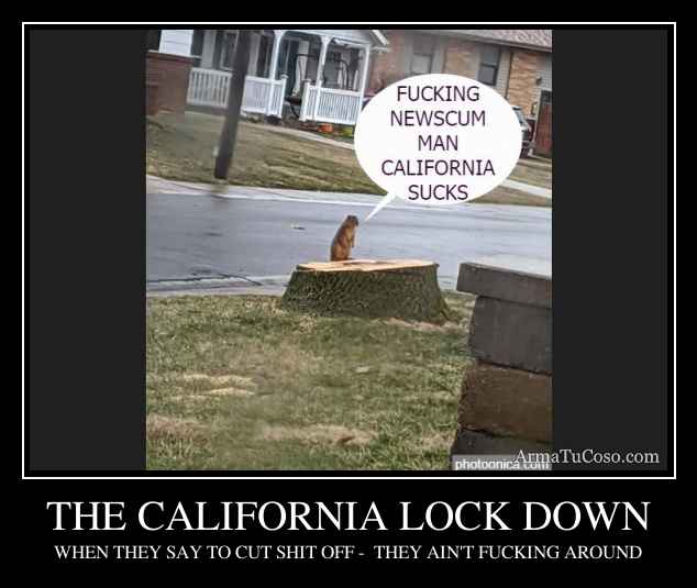THE CALIFORNIA LOCK DOWN