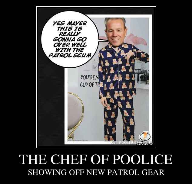 THE CHEF OF POOLICE