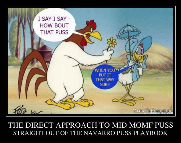 THE DIRECT APPROACH TO MID MOMF PUSS