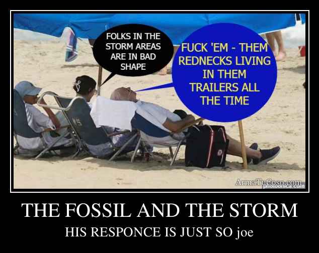 THE FOSSIL AND THE STORM