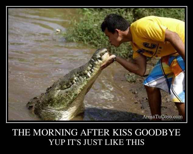 THE MORNING AFTER KISS GOODBYE