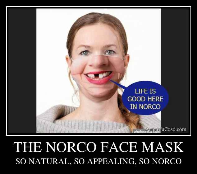 THE NORCO FACE MASK