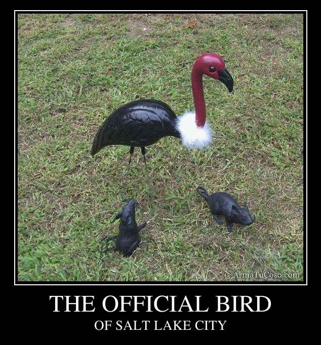 THE OFFICIAL BIRD