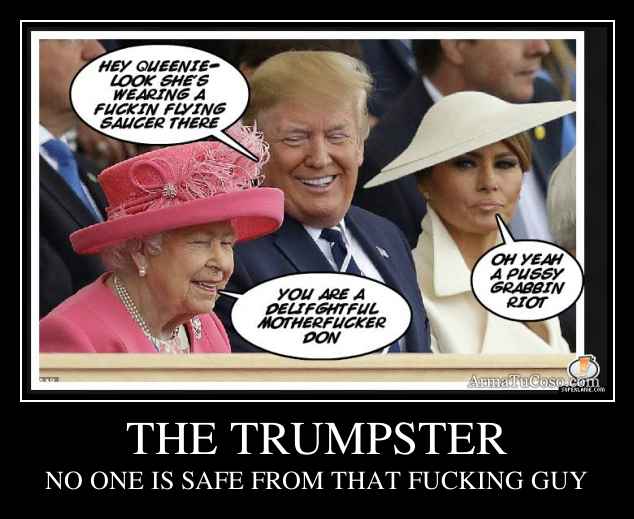 THE TRUMPSTER