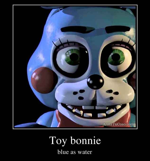 Toy bonnie