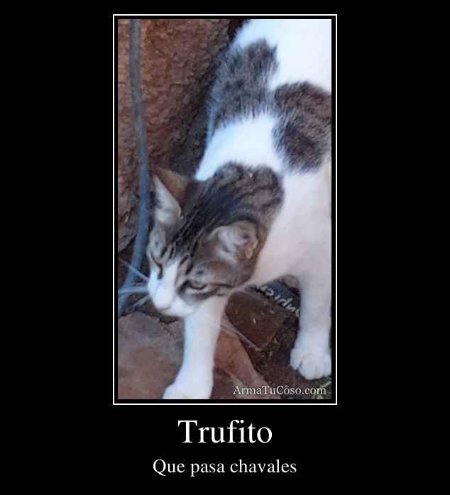 Trufito