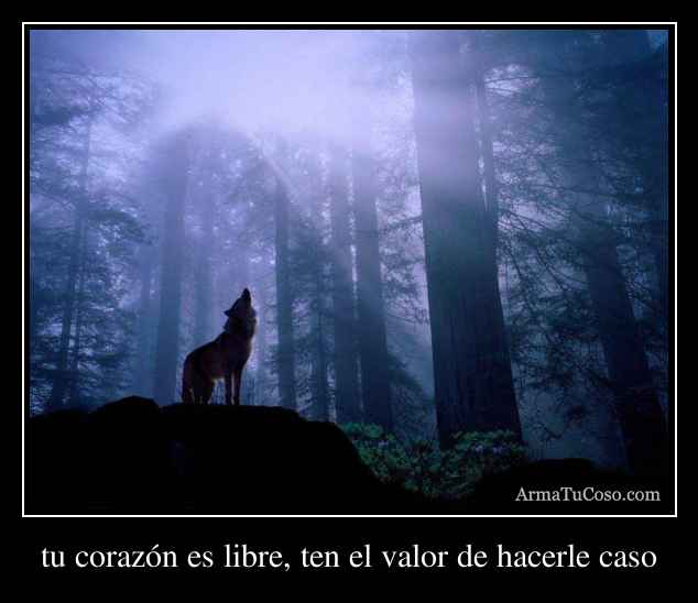 tu corazón es libre, ten el valor de hacerle caso