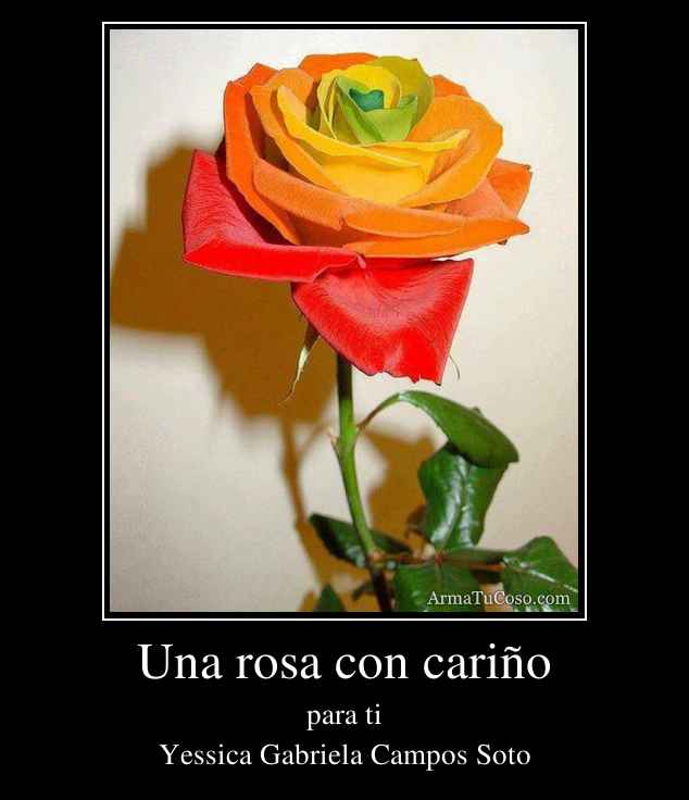 Una rosa con cariño