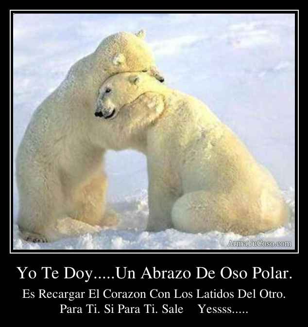 Yo Te Doy.....Un Abrazo De Oso Polar.