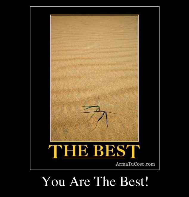 You Are The Best!