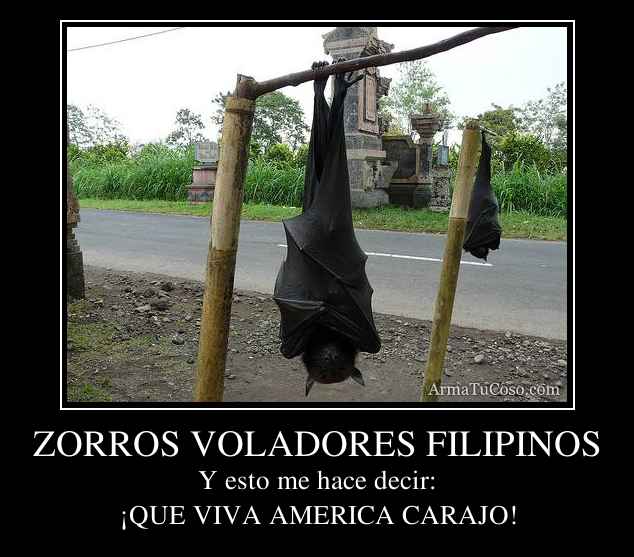 ZORROS VOLADORES FILIPINOS